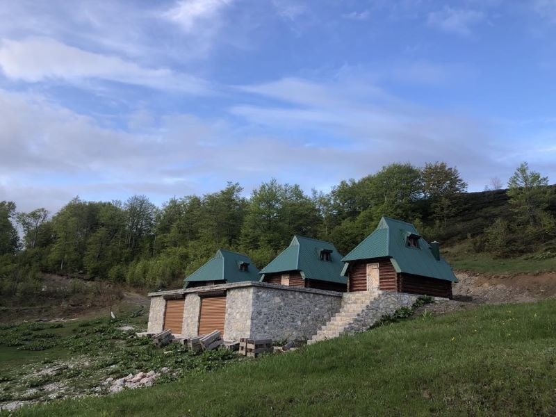 Wandern/Bergwandern