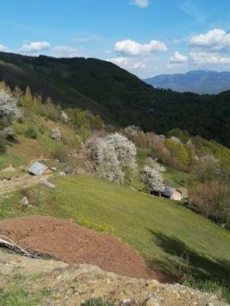 Walking/Mountaineering